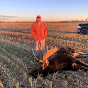 Hunting Moose Canada