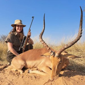 Impala Hunting Kalahari South Africa