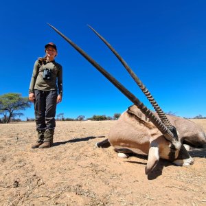 Gemsbok Hunting Kalahari South Africa
