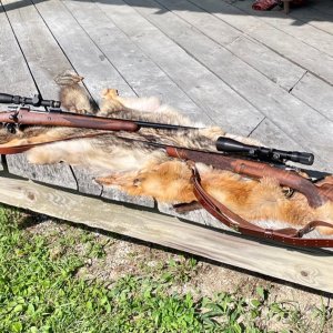 Browning Medallion Grade In 308 & Safari Grade in 375 Rifles