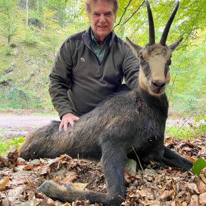 Chamois Hunting Romania