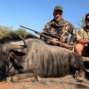 Blue Wildebeest Hunt Namibia