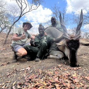 Eland Hunting Mozambique