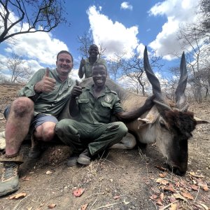 Eland Hunting Mozambique