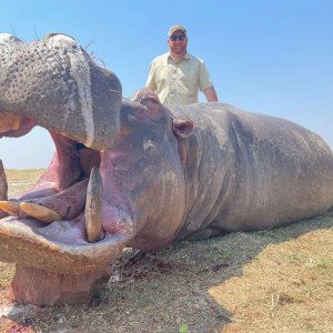 Hippo Hunting Zimbabwe