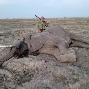 Elephant Hunt Namibia