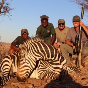 Hartmann's Zebra Hunting Namibia