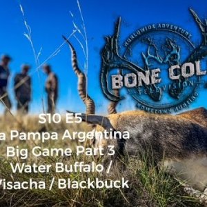 South American Adventure Hunt With MG Hunting In Argentina!