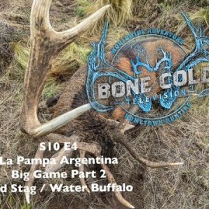 Hunting In La Pampa Argentina For Red Stag And Water Buffalo Part 2 With MG Hunting
