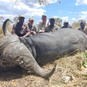 Hunting Buffalo Mozambique