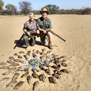 Wingshooting Hunt South Africa