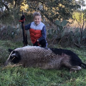 Pig Hunt Texas
