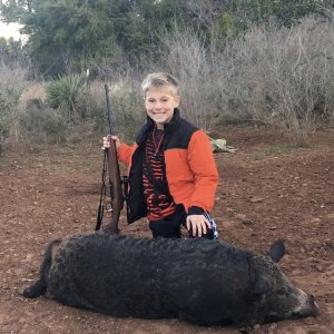 Pig Hunt Texas