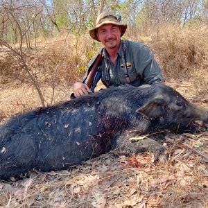 Pig Hunt Northern Territory Australia