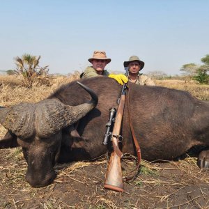 Buffalo Hunt Mozambique