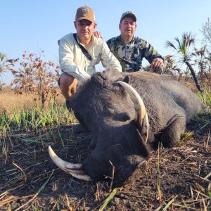 Warthog Hunt Mozambique