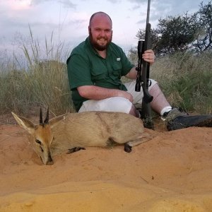 Duiker Hunt Kalahari South Africa
