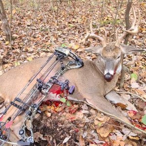 Crossbow Whitetail Deer Hunt