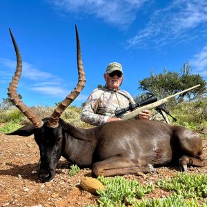 Black Impala Hunting Eastern Cape South Africa