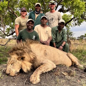 Wild Lion Hunt Moyowosi Game Reserve Tanzania