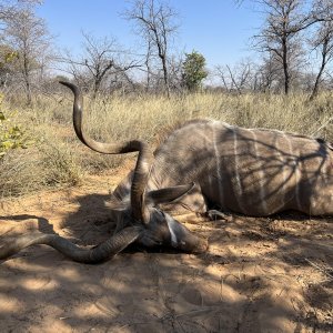 Hunting Kudu Botswana