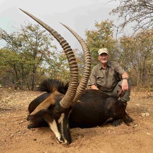 Sable Hunting South Africa