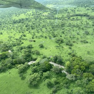 Serengeti Scenery