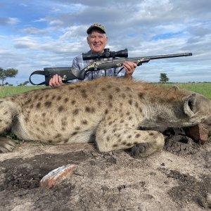 Spotted Hyena Hunt Tanzania