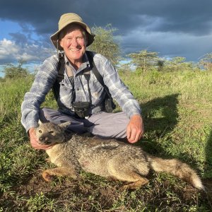 Jackal Hunt Tanzania