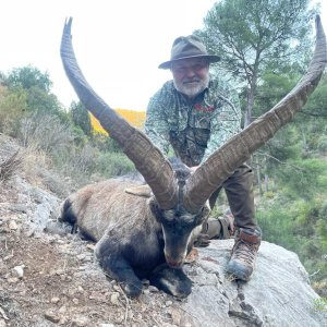 Ibex Hunt Spain