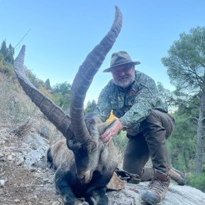 Ibex Hunt Spain