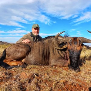 Blue Wildebeest Hunting Eastern Cape South Africa