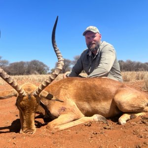 Impala Hunt South Africa