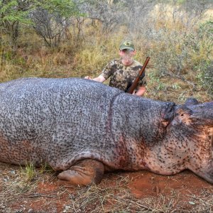 Hippo Hunt South Africa