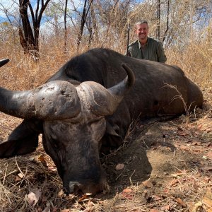 Buffalo Hunt Mozambique