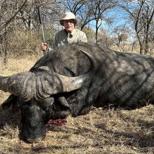 Buffalo Hunt Dinokeng Game Reserve SOuth Africa