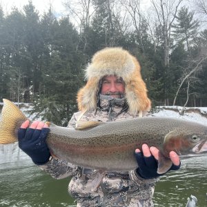 Rainbow Trout Fishing Michigan