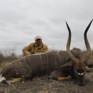 Nyala Hunt South Africa