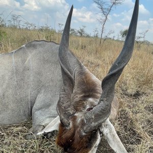 Eland Hunt Uganda