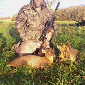 Muntjac Deer Hunt United Kingdom