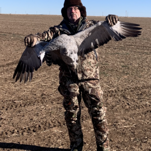 Bird Hunting Texas