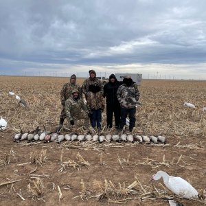 Bird Hunting Texas