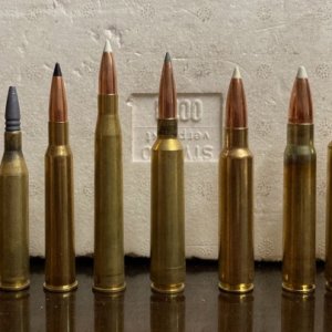 Different Calibers Rimmed Cartridges