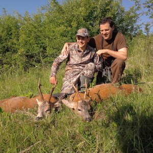 Roe Deer Hunt Romania