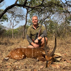 15 Inch Bushbuck Hunt Zambia