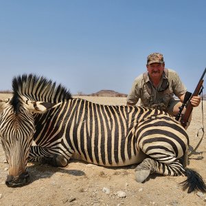 Zebra Hunt South Africa