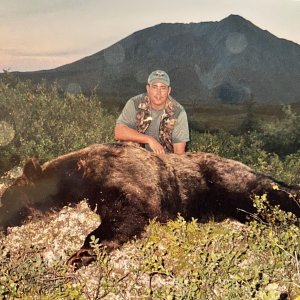 Grizzly Bear Hunt Alaska