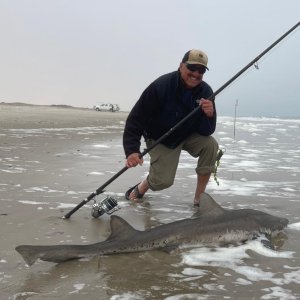 Spotted Gulley Shark Fishing Namibia