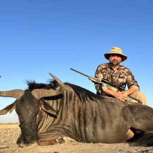 Blue Wildebeest Hunt South Africa