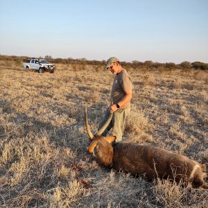 Waterbuck Hunt South Africa